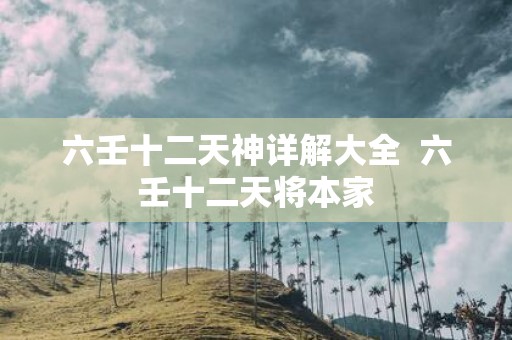 六壬十二天神详解大全 六壬十二天将本家