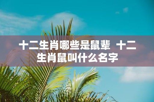 十二生肖哪些是鼠辈 十二生肖鼠叫什么名字
