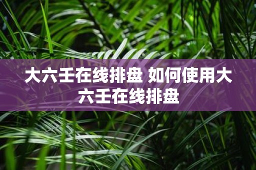 大六壬在线排盘 如何使用大六壬在线排盘