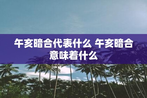 午亥暗合代表什么 午亥暗合意味着什么