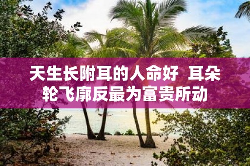 天生长附耳的人命好 耳朵轮飞廓反最为富贵所动