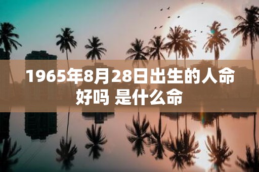 1965年8月28日出生的人命好吗 是什么命