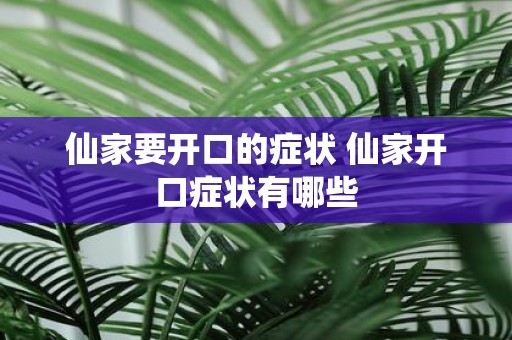 仙家要开口的症状 仙家开口症状有哪些