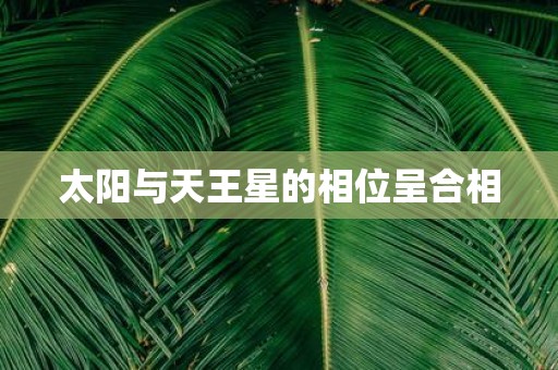 太阳与天王星的相位呈合相