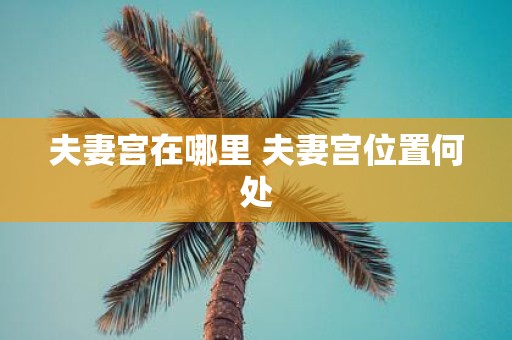 夫妻宫在哪里 夫妻宫位置何处