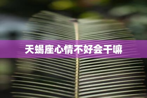 天蝎座心情不好会干嘛