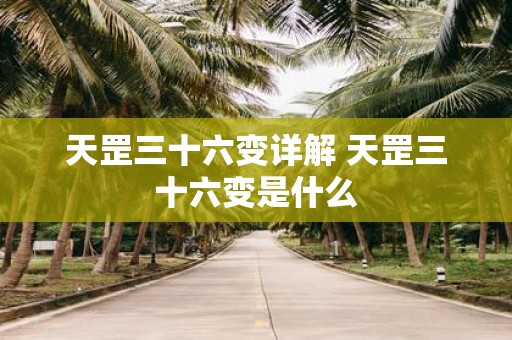 天罡三十六变详解 天罡三十六变是什么