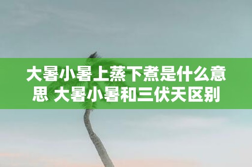 大暑小暑上蒸下煮是什么意思 大暑小暑和三伏天区别
