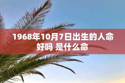 1968年10月7日出生的人命好吗 是什么命