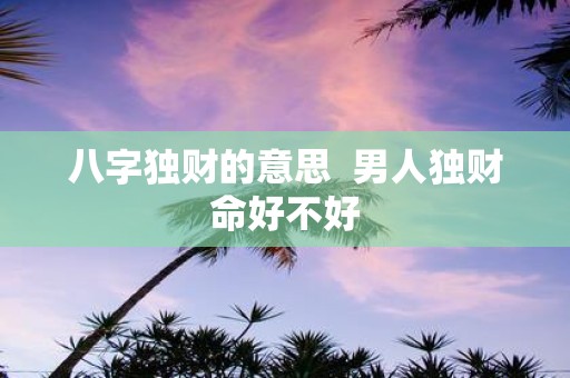 八字独财的意思  男人独财命好不好