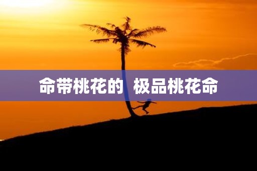 命带桃花的 极品桃花命