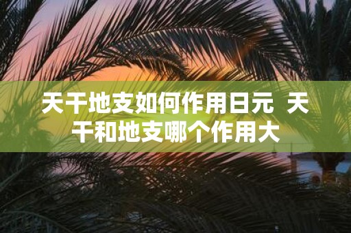 天干地支如何作用日元 天干和地支哪个作用大