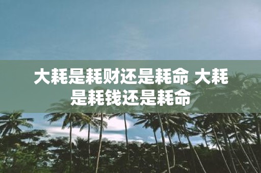 大耗是耗财还是耗命 大耗是耗钱还是耗命