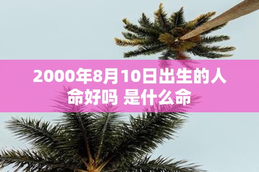2000年8月10日出生的人命好吗 是什么命