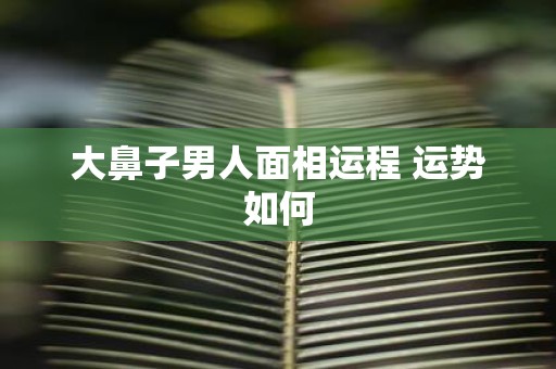 大鼻子男人面相运程 运势如何