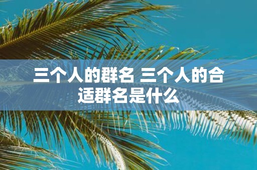 三个人的群名 三个人的合适群名是什么