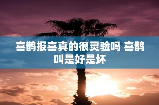 喜鹊报喜真的很灵验吗 喜鹊叫是好是坏