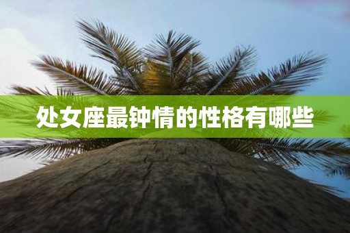 处女座最钟情的性格有哪些
