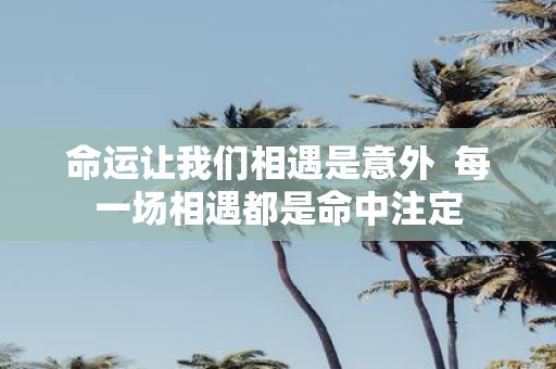 命运让我们相遇是意外 每一场相遇都是命中注定