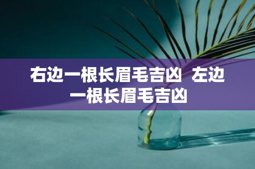右边一根长眉毛吉凶 左边一根长眉毛吉凶