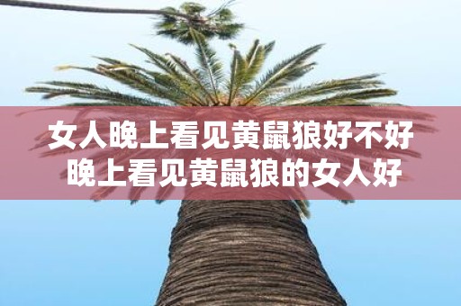 女人晚上看见黄鼠狼好不好 晚上看见黄鼠狼的女人好不好