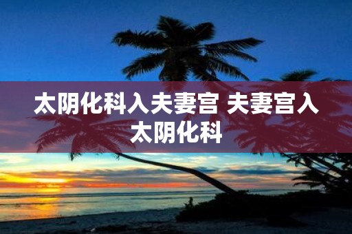 太阴化科入夫妻宫 夫妻宫入太阴化科