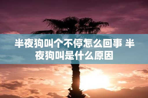 半夜狗叫个不停怎么回事 半夜狗叫是什么原因