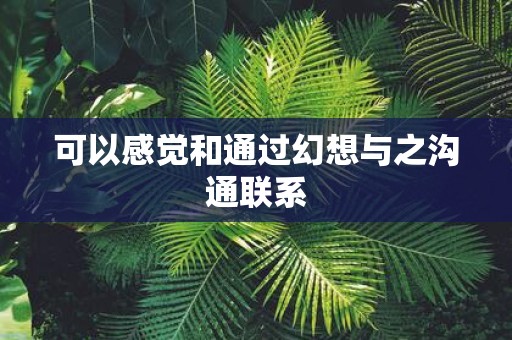 可以感觉和通过幻想与之沟通联系