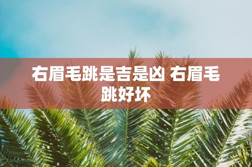 右眉毛跳是吉是凶 右眉毛跳好坏