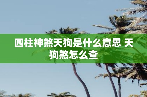 四柱神煞天狗是什么意思 天狗煞怎么查