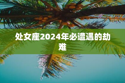 处女座2025年必遭遇的劫难