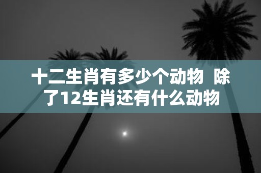 十二生肖有多少个动物 除了12生肖还有什么动物