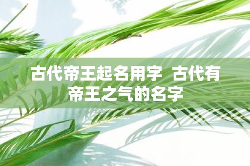 古代帝王起名用字 古代有帝王之气的名字