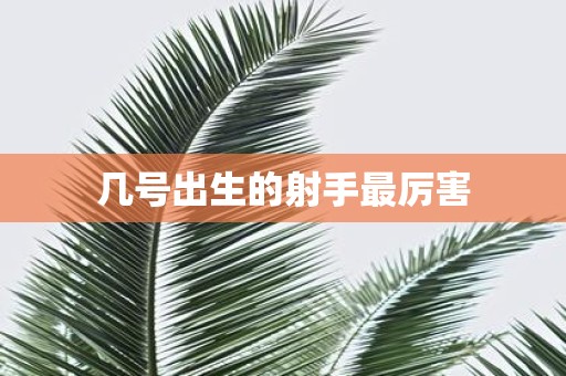 几号出生的射手最厉害