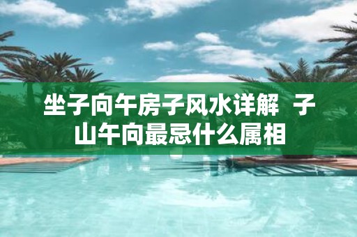 坐子向午房子风水详解 子山午向最忌什么属相