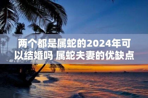 两个都是属蛇的2025年可以结婚吗 属蛇夫妻的优缺点