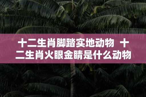 十二生肖脚踏实地动物 十二生肖火眼金睛是什么动物