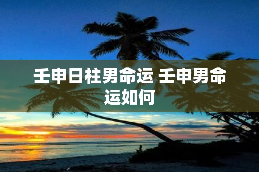 壬申日柱男命运 壬申男命运如何