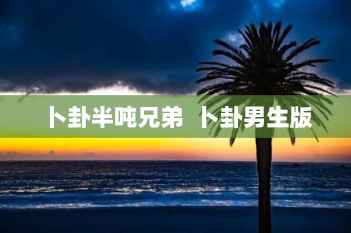 卜卦半吨兄弟 卜卦男生版