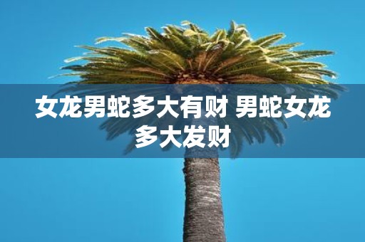 女龙男蛇多大有财 男蛇女龙多大发财