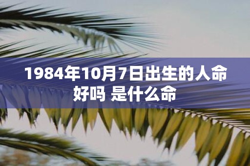 1984年10月7日出生的人命好吗 是什么命