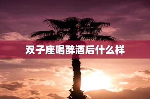 双子座喝醉酒后什么样