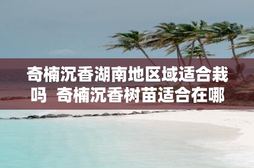 奇楠沉香湖南地区域适合栽吗 奇楠沉香树苗适合在哪里种植