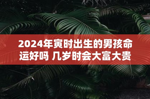 2025年寅时出生的男孩命运好吗 几岁时会大富大贵