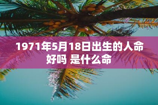 1971年5月18日出生的人命好吗 是什么命