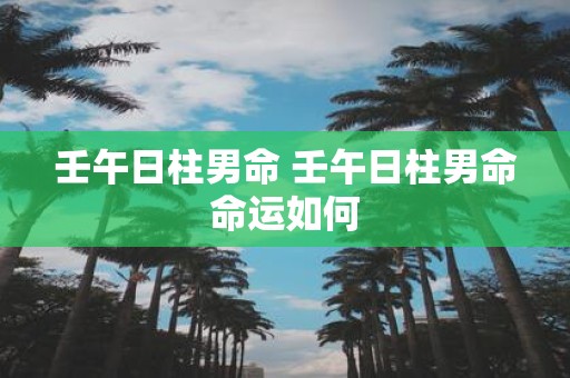 壬午日柱男命 壬午日柱男命命运如何