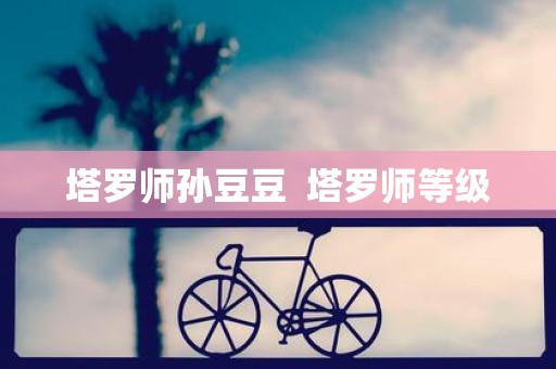 塔罗师孙豆豆 塔罗师等级