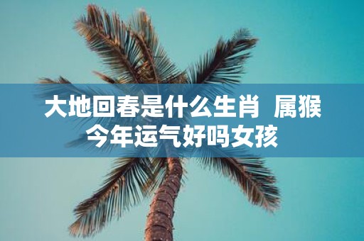 大地回春是什么生肖 属猴今年运气好吗女孩