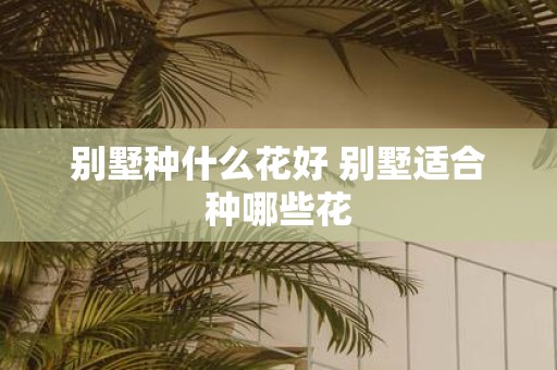 别墅种什么花好 别墅适合种哪些花
