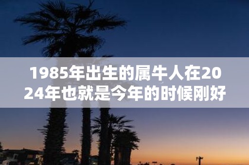 1985年出生的属牛人在2025年也就是今年的时候刚好37岁